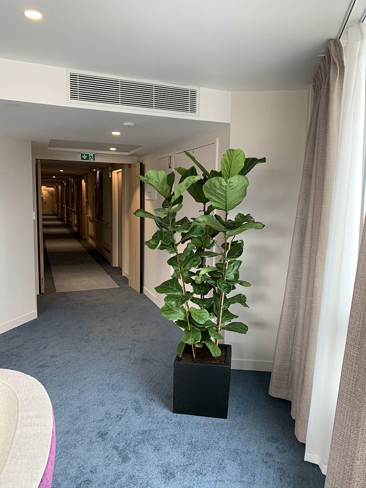 confiez votre projet de r&eacute;novation &agrave; suresnes &agrave; des experts qualifi&eacute;s. b&eacute;n&eacute;ficiez d&rsquo;un accompagnement personnalis&eacute; pour la r&eacute;novation de votre appartement, maison ou local professionnel. devis gratuit et travaux garantis.