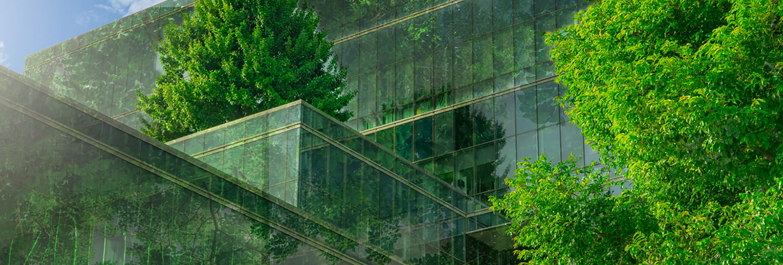 d&eacute;couvrez tout sur le b&acirc;timent : actualit&eacute;s, conseils, innovations et solutions pour la construction, la r&eacute;novation et l&rsquo;am&eacute;nagement, que vous soyez professionnel ou particulier.